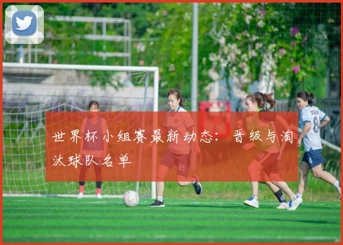 世界杯小组赛最新动态:晋级与淘汰球队名单
